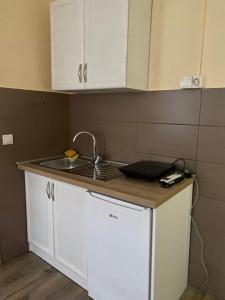 a kitchen with a sink and a counter top at Stan na dan Nena 4 - Apartman Nena Užice in Užice