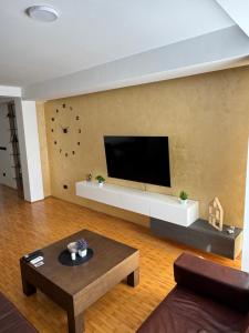 TV a/nebo společenská místnost v ubytování Day Stay - Valjevo