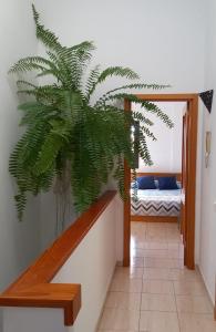Postel nebo postele na pokoji v ubytování MELROSE PLACE 2 Dormitorios y Piscina en Vecindario