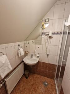 Phòng tắm tại Hotel Razgorsek