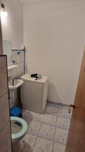 Koupelna v ubytování Apartament Drăgășani