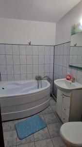 Koupelna v ubytování Apartament Drăgășani