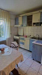 Kuchyň nebo kuchyňský kout v ubytování Apartament Drăgășani