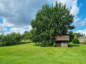 a tree in a yard with a small shed at Ferienhaus Eggetal in Preußisch Oldendorf