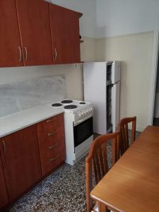 eine Küche mit Herd und Tisch mit Stühlen in der Unterkunft Work, relax, enjoy - SHARED APARTMENT in Athen