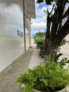 Aed väljaspool majutusasutust Cantinho Aconchegante - Quarto 04 Ar-condicionado