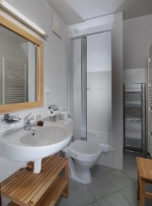 Vonios kambarys apgyvendinimo įstaigoje Hotel Domovina