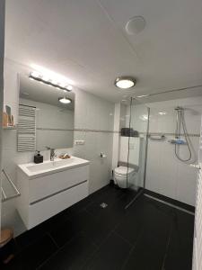 a bathroom with a sink and a shower and a toilet at At Juliette in Zandvoort +21 photos