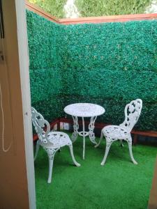 Zahrada ubytování Hotel Bianca Boutique