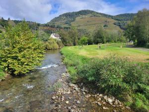 a river next to a field with trees and a mountain at Maison de campagne in Issor