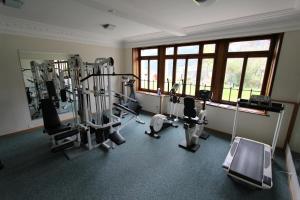 a gym with cardio equipment in a room with windows at Rosat 2 in Chateau-d'Oex