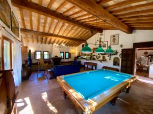 un tavolo da biliardo in un soggiorno con soffitto di La casa di Francesco Incantevole casale di campagna with pool piscina a Soriano nel Cimino