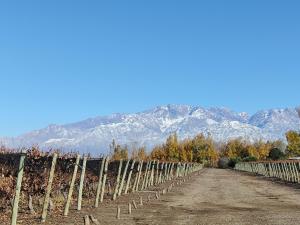 un camino de tierra con una valla y montañas al fondo en Las Nencias Houses, en San Carlos