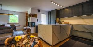 Η κουζίνα ή μικρή κουζίνα στο Luxury Mountain Apartment with Private Sauna and Underground Parking +45 φωτογραφίες