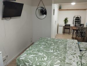 a bedroom with a bed and a flat screen tv at Studio centre ville Foix in Foix