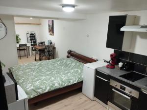 a small bedroom with a bed and a kitchen at Studio centre ville Foix in Foix