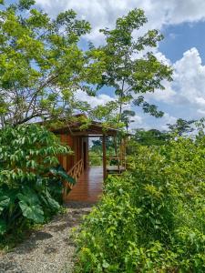 Gallery image of Onca Tours & Treehouses in San Rafael +67 photos