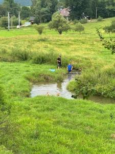 a group of people standing in a stream in a field at Charming studio by the river in Uście Gorlickie