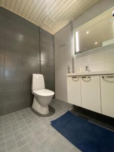 a bathroom with a toilet and a sink and a mirror at First Aparthotel Olive in Rovaniemi +8 photos