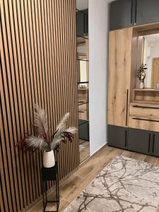 Fotografie z fotogalerie ubytování Apartman Tina v destinaci Soko Banja