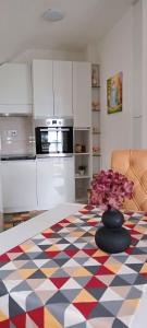 Kuchyň nebo kuchyňský kout v ubytování Apartman Tina
