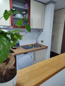 Η κουζίνα ή μικρή κουζίνα στο Apartman Ingrid