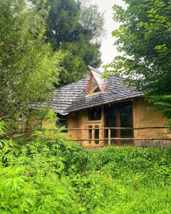 una casa de madera en medio de un bosque en Janki's Commune - An Earthen Stay Amidst Old Manali, en Manali