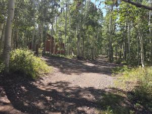 un chemin de terre au milieu d'une forêt dans l'établissement Camp Jackson Host Cabin, à Verdure 7 autres photos