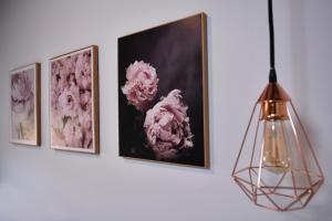 Fotografie z fotogalerie ubytování Casa karrikaburu v destinaci Valcarlos