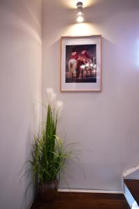 Fotografie z fotogalerie ubytování Casa karrikaburu v destinaci Valcarlos