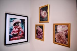 Fotografie z fotogalerie ubytování Casa karrikaburu v destinaci Valcarlos