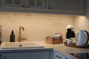 encimera de cocina con fregadero y batidora en SIELSKO - ANIELSKO Apartamenty 96m2, Kielce, Ogród, Grill, Bezpłatny Parking, en Kielce 70 fotos más