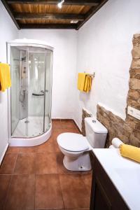 a bathroom with a shower and a toilet and a sink at Club JM Lanzarote in Tabayesco