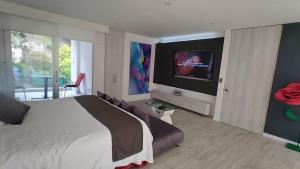 TV a/nebo společenská místnost v ubytování Mirador samsara Suite Luxury piso completo