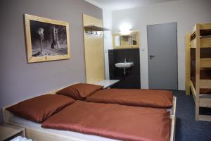 1 dormitorio con 1 cama y lavamanos. en Penzion Kouty en Loučná nad Desnou