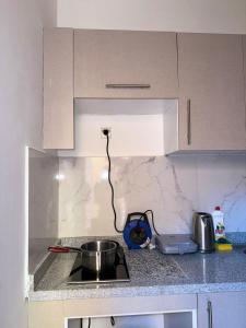 Кухня або міні-кухня у Appartement Xénon