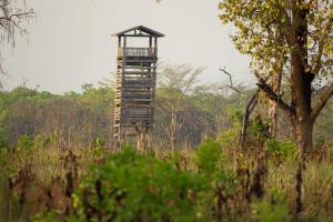 Foto de la galeria de Forest Hideaway Resort Pvt Ltd a Bhurkīā