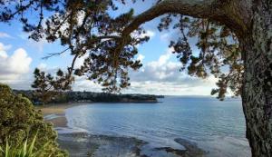 Φυσικό τοπίο κοντά σε αυτό το δωμάτιο σε οικογενειακή κατοικία +6 φωτογραφίες