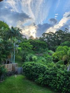 a garden with trees and bushes and a cloudy sky at Bushland View Retreat in Ocean Shores