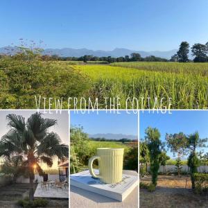 Příroda nedaleko farmy