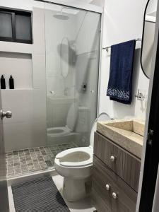 ein kleines Badezimmer mit Toilette und Dusche in der Unterkunft Departamento Ejecutivo cerca de BJX in Santa Gertrudis + 14 Fotos