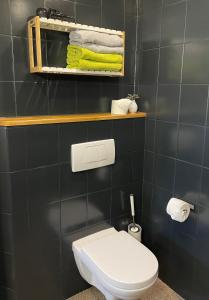 a bathroom with a toilet and a shelf with towels at Moderne Ferienwohnung in historischer Altstadt - keine Monteurswohnung in Hilpoltstein