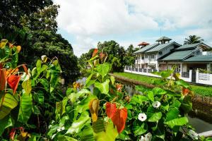 Zahrada ubytování Ayur Ayur White Sail Villa