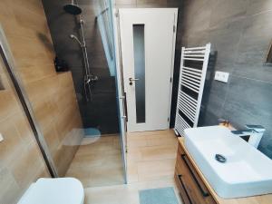 Koupelna v ubytování Apartmán Krkonoše Rokytnice