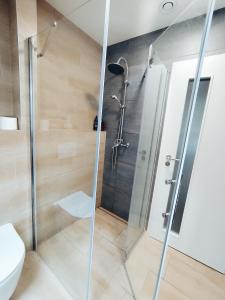 Koupelna v ubytování Apartmán Krkonoše Rokytnice