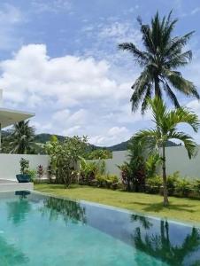 a swimming pool with a palm tree and a body of water at Villa Chacha à Lamai in Lamai