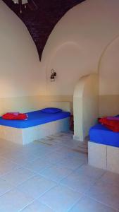 two blue beds in a room with a bug on the wall at Explore the beauty of the White Desert in Mandīshah