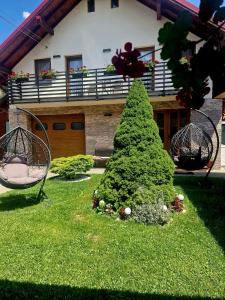 a christmas tree in a yard in front of a house at Comfy House in Borşa