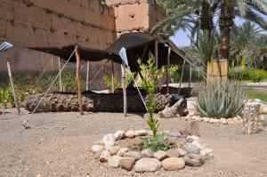 un giardino con tenda, piante e rocce di BIVOUAC Sous Les Palmiers Bleus a Ouijjane
