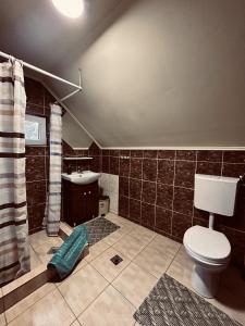 a bathroom with a toilet and a sink at Cabana Scruba in Topliţa